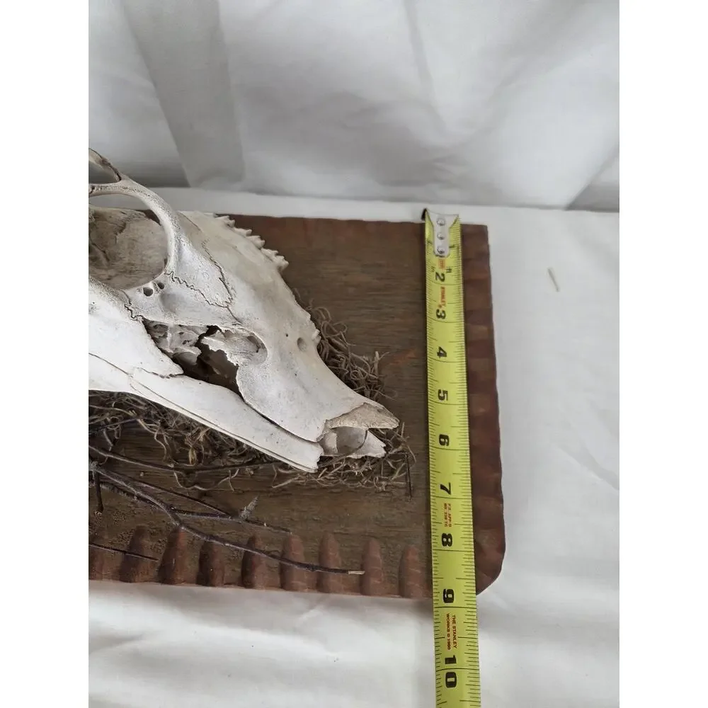 Rustic Deer Skull Barbed Wire Table Lamp Lodge Cabin Western Decor Vintage